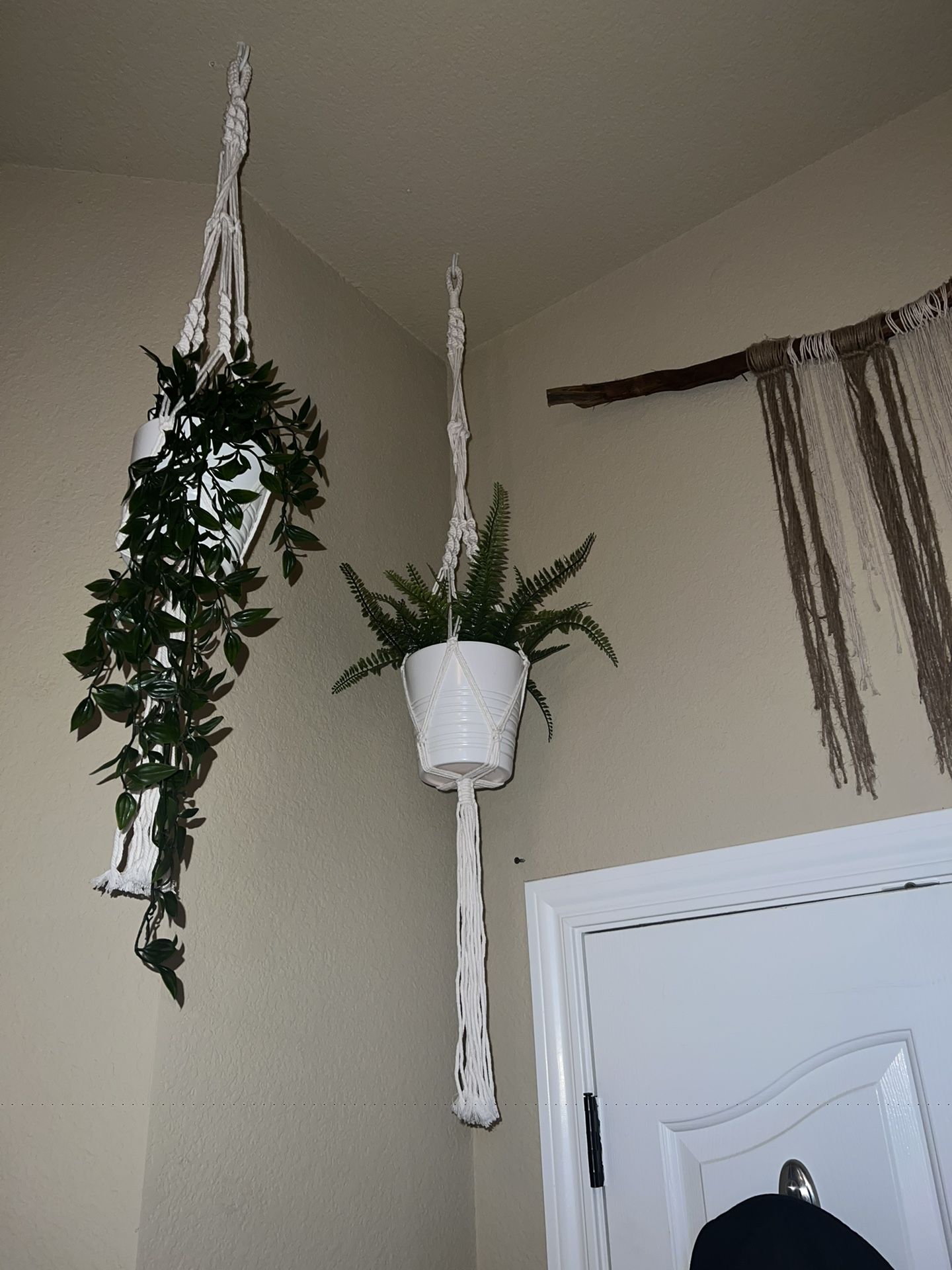 Hanging Plants And Wall Decor