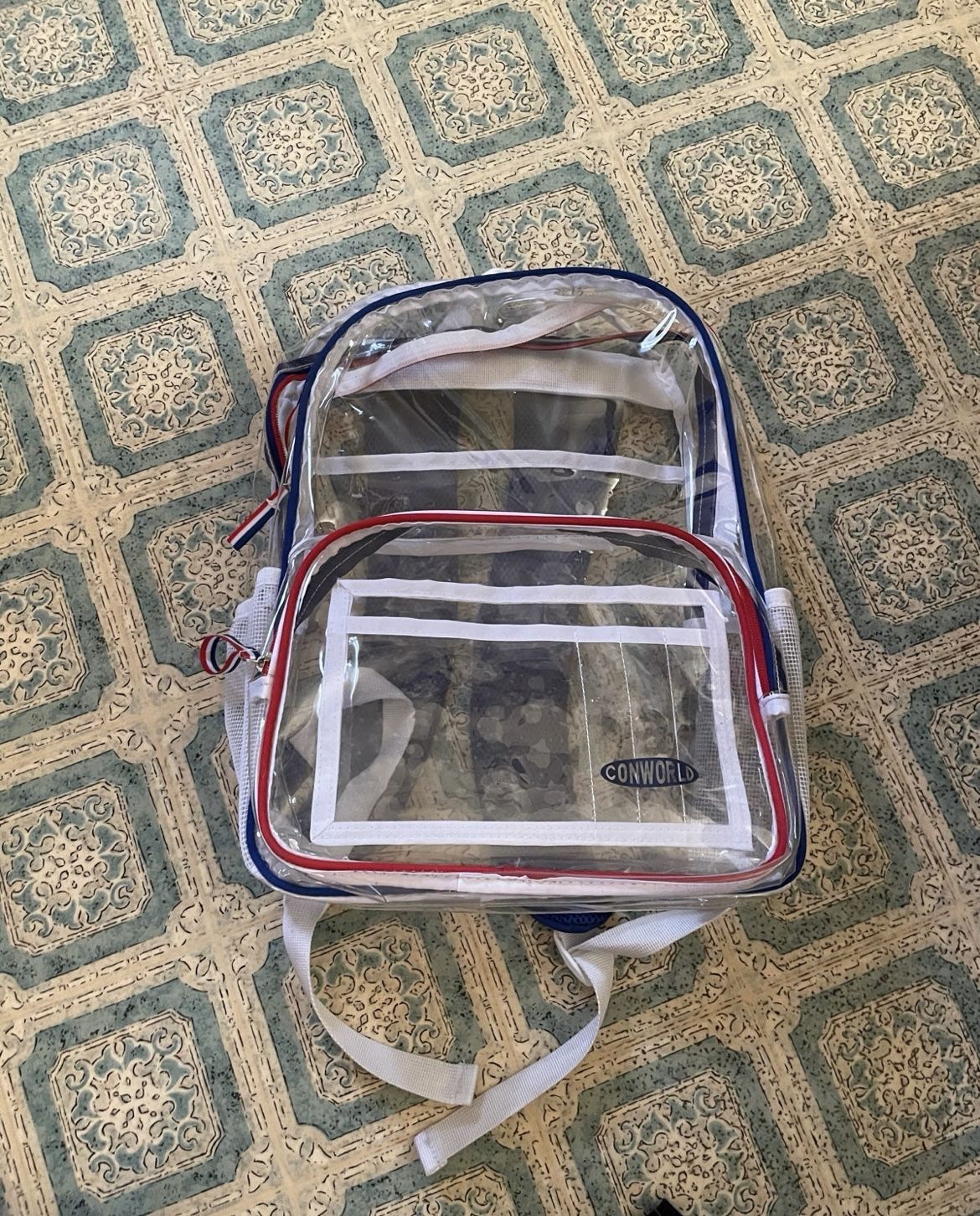 Clear Backpack