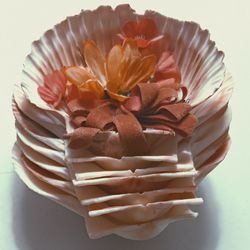 Set Of 7 Shells Make Offer