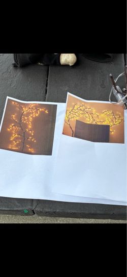 tree wall light