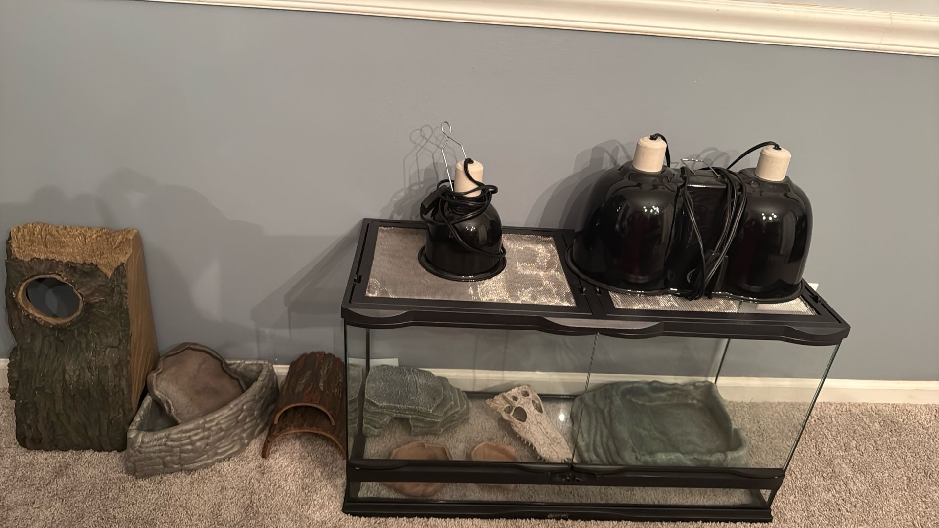 Pet Supplies, Lighting, Terrariums, Decorations, and Habitats