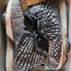 Lebron Size 14
