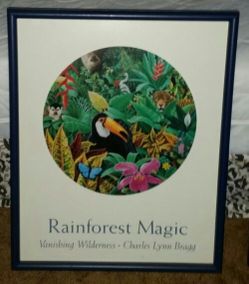 Art Prints - Framed (Rainforest Magic)