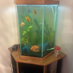55 Gallon Fish Tank 