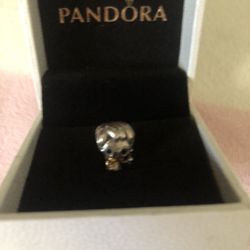 Pandora Charm