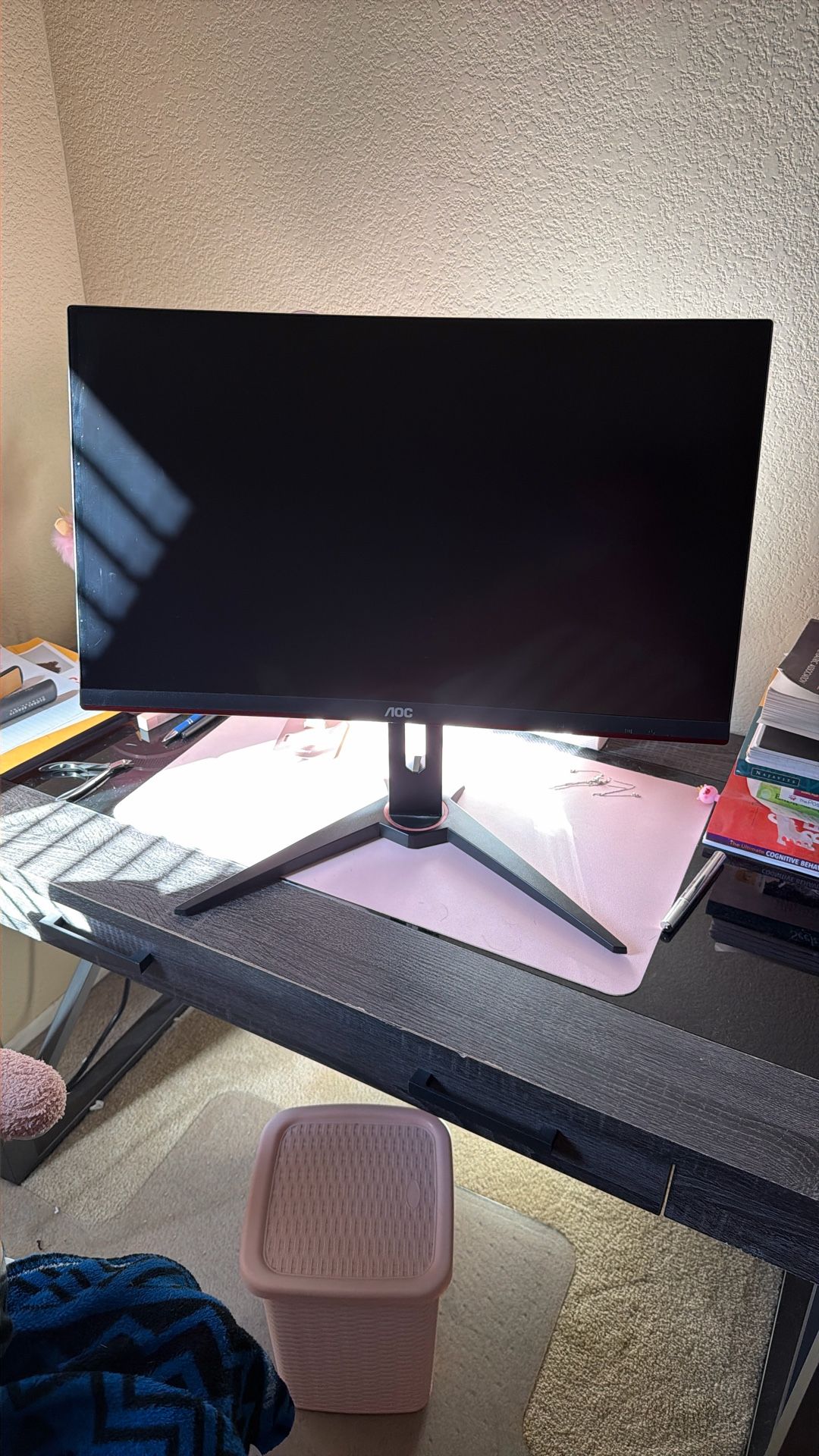 AOC C24G1A 24” Monitor