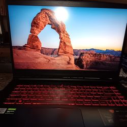 MSI Nvidia Gaming Laptop 1660 Ti