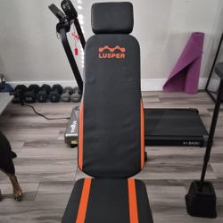 Exercise Bench
