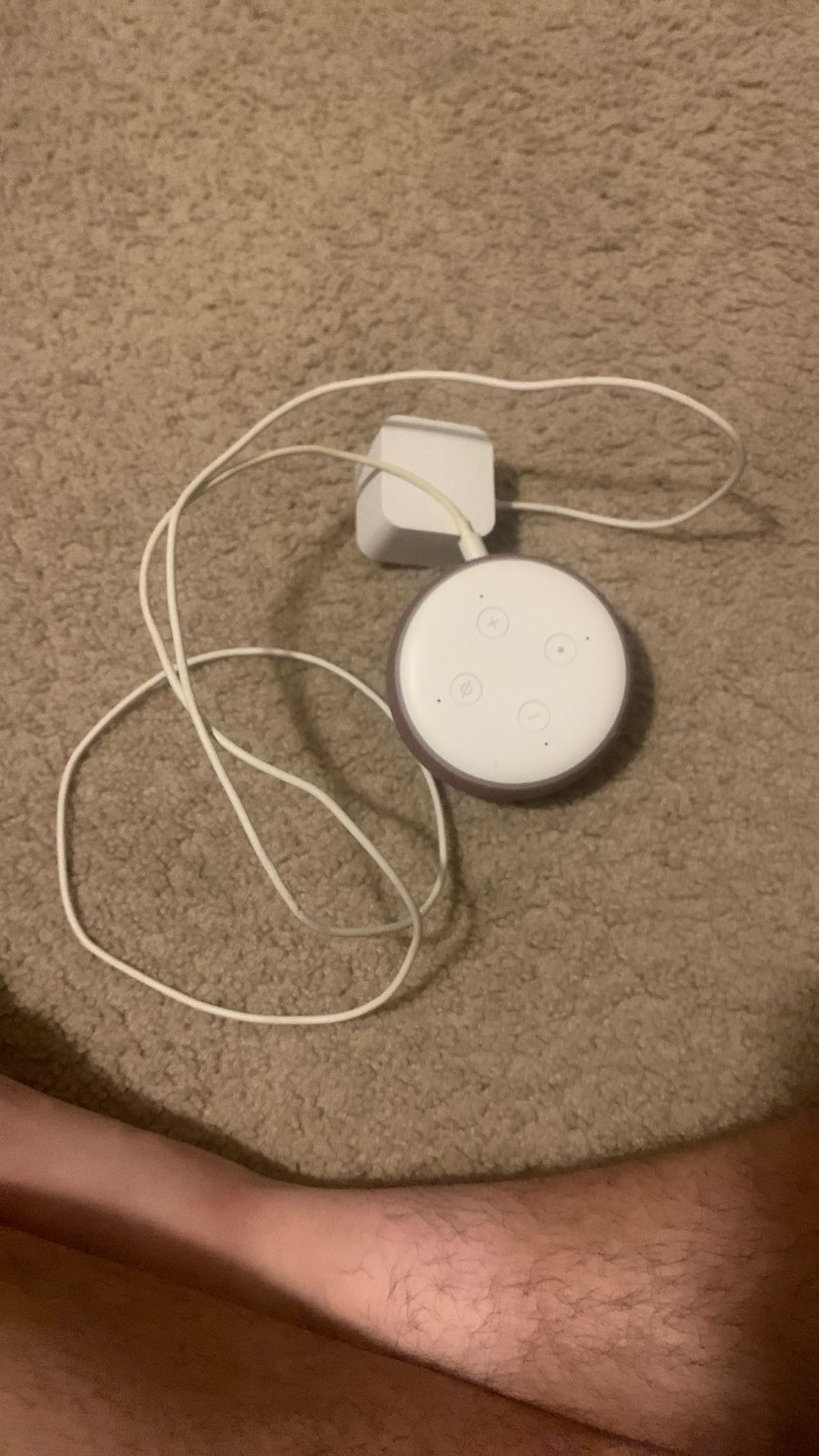 Echo Dot 