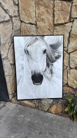 Horse Art canvas