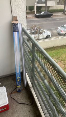 2 harbor freight shop lights