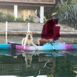 Precision Paddleboard Kayak