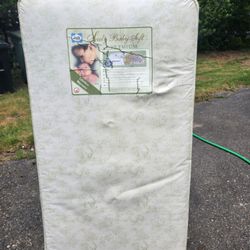 Sealy Crib Mattress