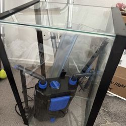 10 G Aquarium With Everything You Need 