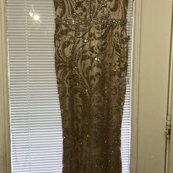 Champagne & Gold Dress Xs