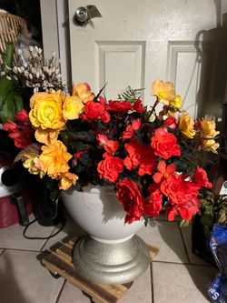Beautiful flowers with pot