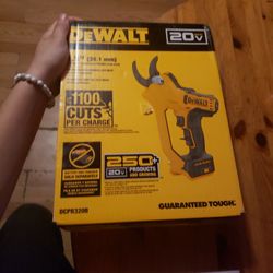 Dewalt 