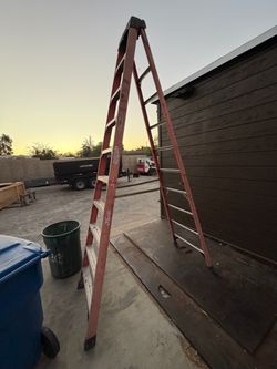 Werner 12ft ladder