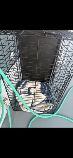 Dog cage