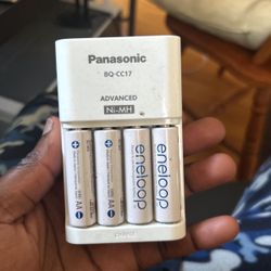 Panasonic Battery Charger