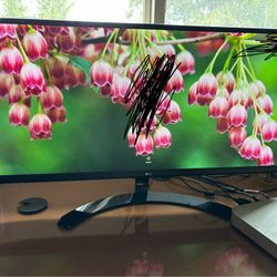 LG Monitor 