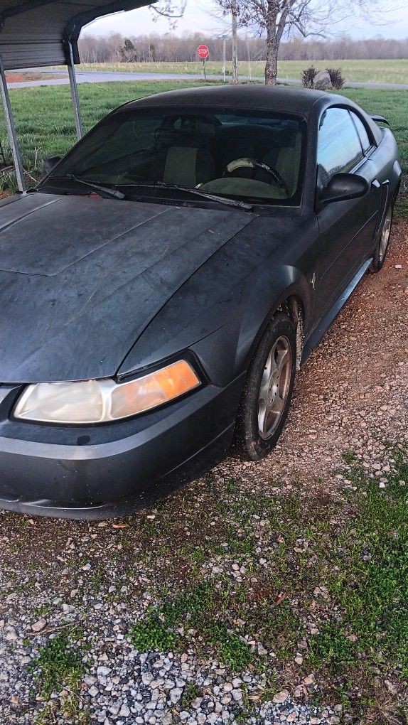 2003 Ford Mustang