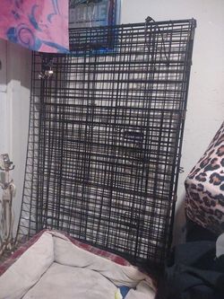 Kennel