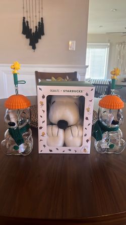 Starbucks x Peanuts Snoopy Glass Cold Cup + Snoopy Plush NEW