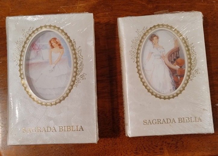 Sagrada Bibilia - Nuevo Testament (Spanish New Testament)