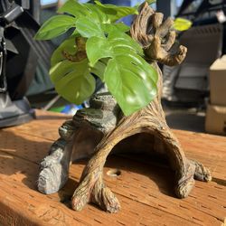Reptile Snake Lizard Animal fairy Home