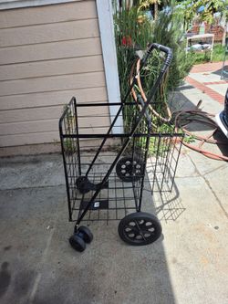 Costway shoping car