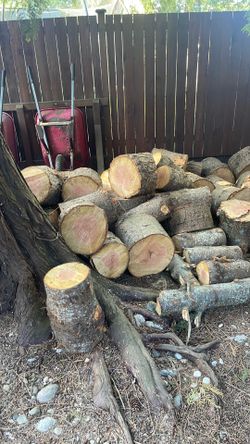 Fir Fire Wood for Sale