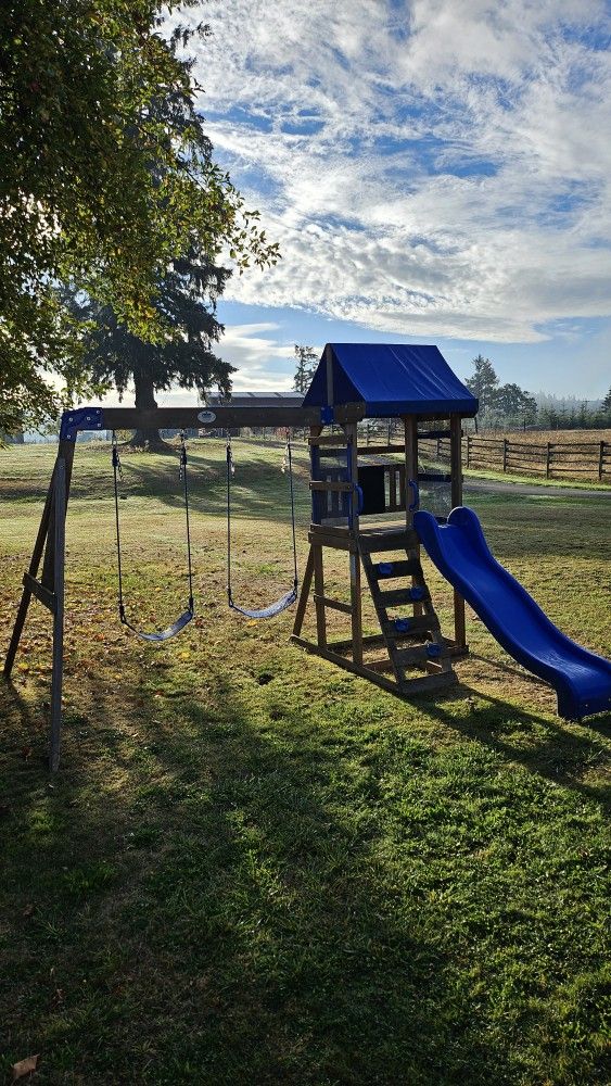 Backyard Wooden Cedar Swing Set