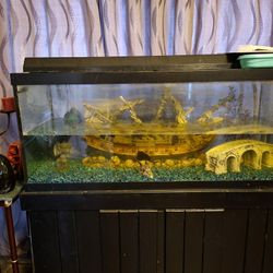 75 Gallon Aquarium And Stand For Sale