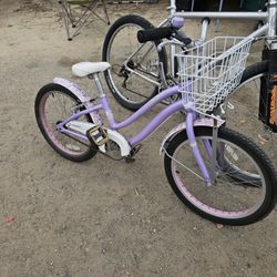 Girls Giant  Aluminum  Bike