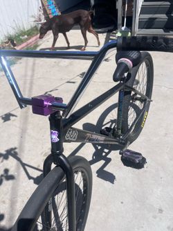 Throne 29er