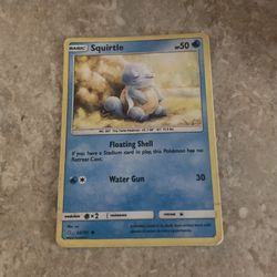 Pokémon Squirrel