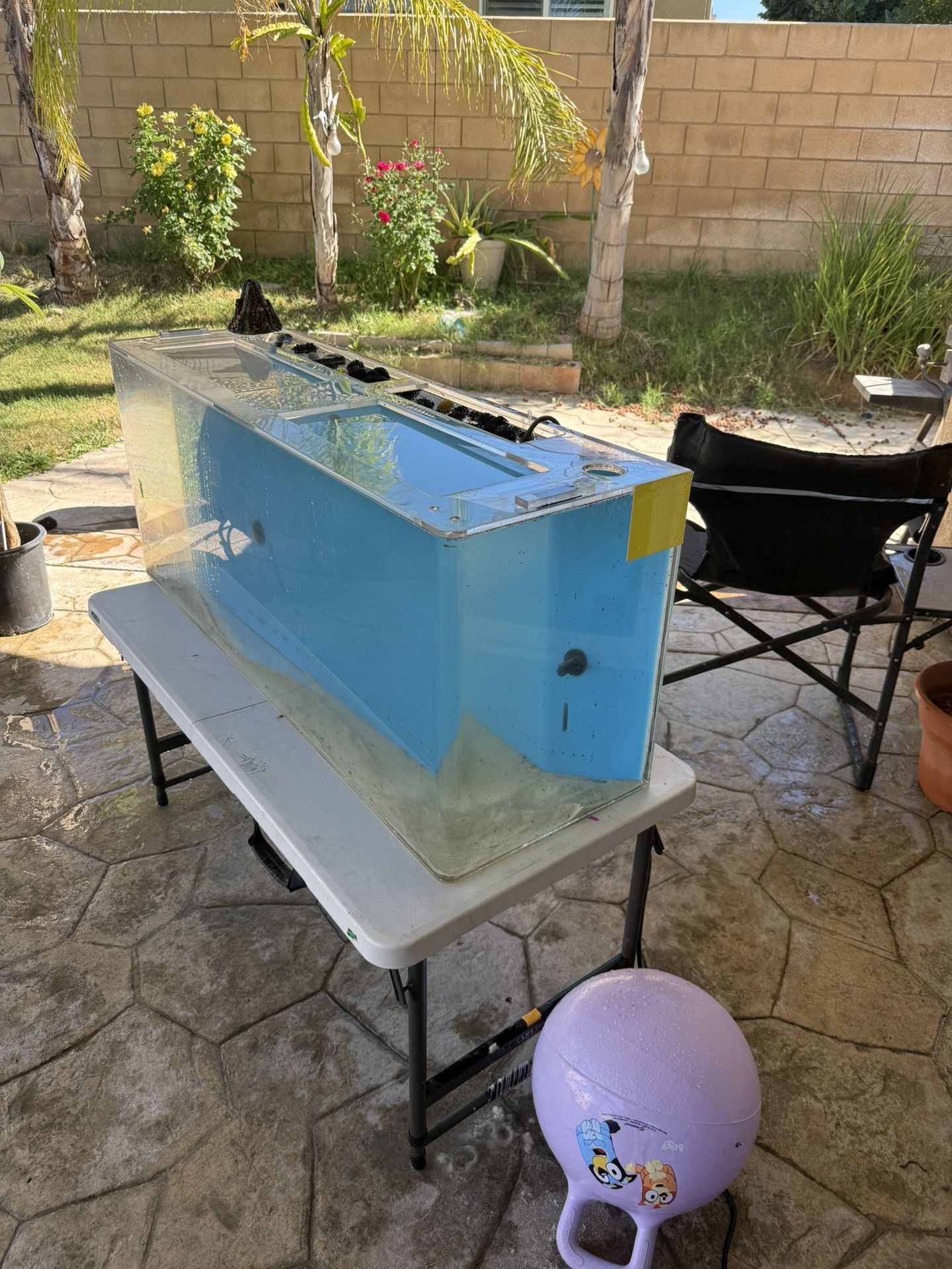 AIO Acrylic Fish Tank