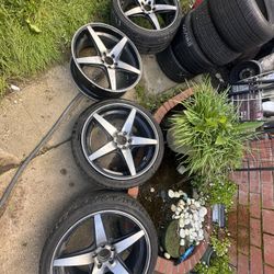 Rims 