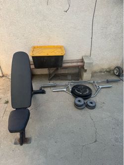 Bench and weights
