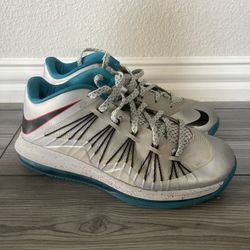 Nike LeBron Low Akron Shoes 