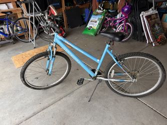 Adult Bike