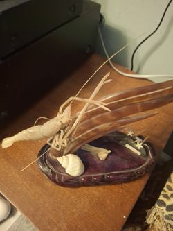 11x9 Carved Horn Depicting Shrimp & Aquatic Plants