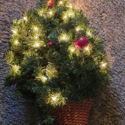 Used/Good Condition. Flat Sided Light Up Christmas Tree