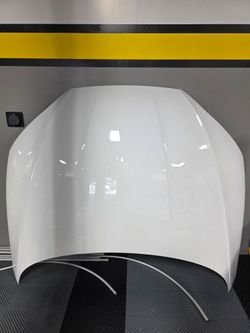 2023 Audi S5 Sportback Hood