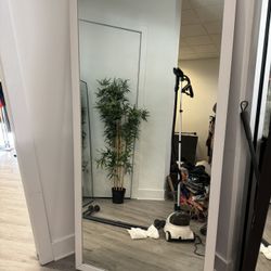 Full Body Mirror 72 Inches X 36 Inches