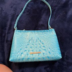 Brahmin Purse
