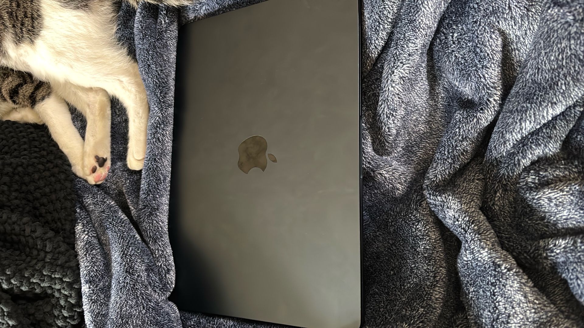 Macbook Air M3 Chip 2024 512GB SSD