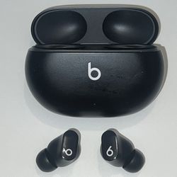 Beats Powerbeats Fit Bluetooth Wireless Earbuds 