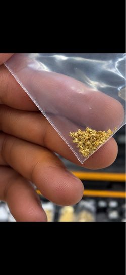 Pure gold specimens and nuggets found in the Klondike